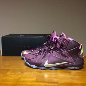 Nike LeBron 12 'Double Helix'